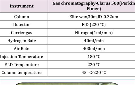 gas analysis limitations|gas chromatography parameters.